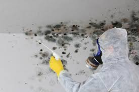 Best Mold Removal for HVAC Installations in Lindenwold, NJ